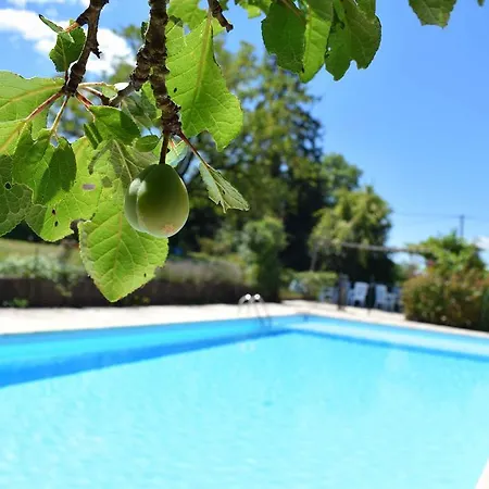 Camping Chez Francis